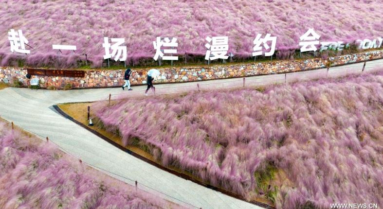 ألوان بديعة ولوحات من صنع الطبيعة.. الخريف يزين حدائق الصين (1)