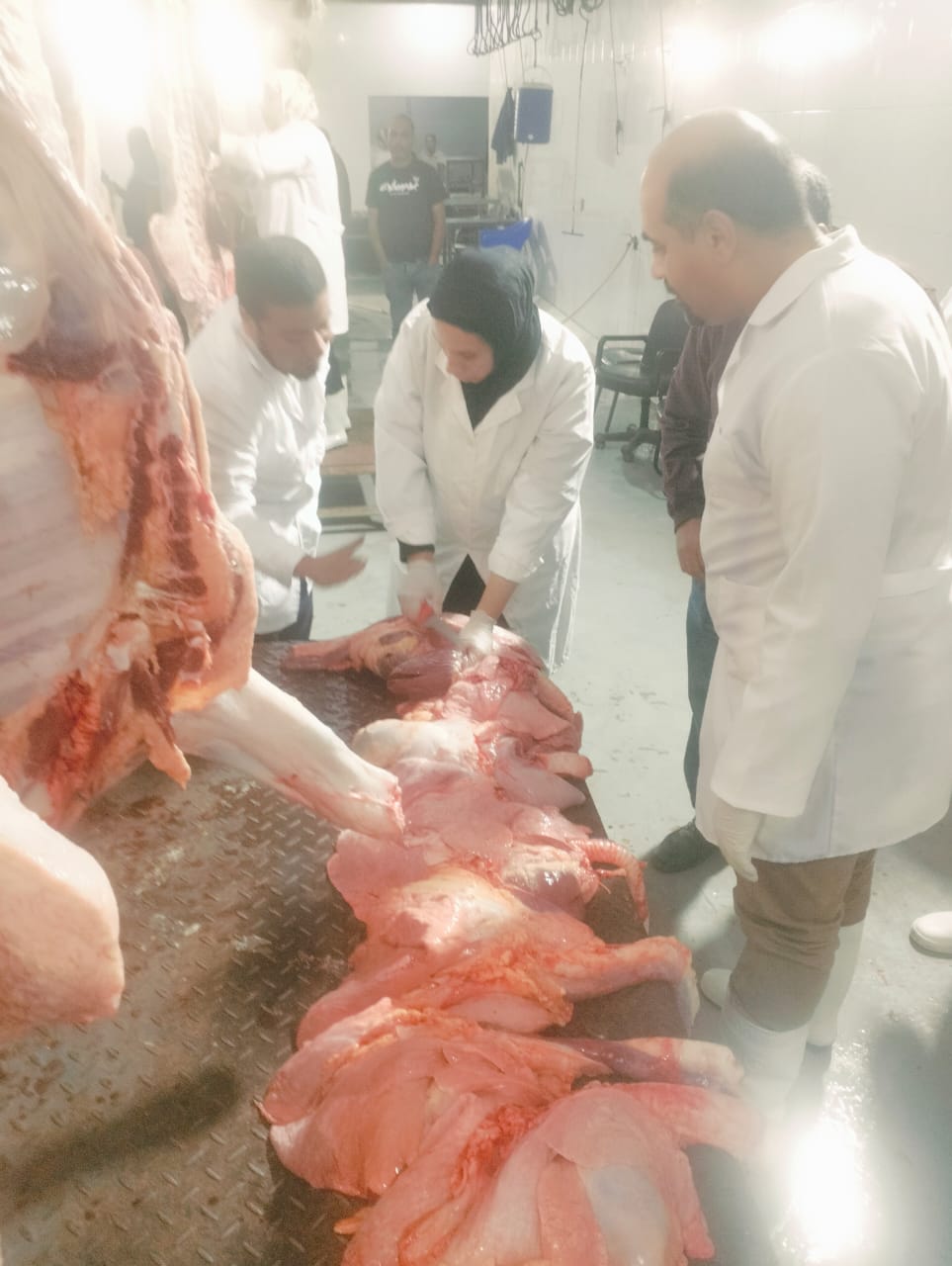 ضبط لحوم فاسدة بالأسواق