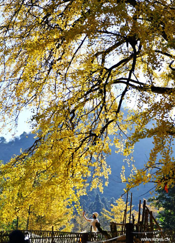 التقاط الصور التذكارية التقاط الصور التذكارية