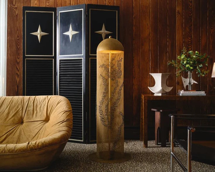 الدروع الشبكية الدرع السلسى