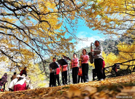 أشخاص يعزفون على الساكسفون تحت أشجار الجنكة أشخاص يعزفون على الساكسفون تحت أشجار الجنكة