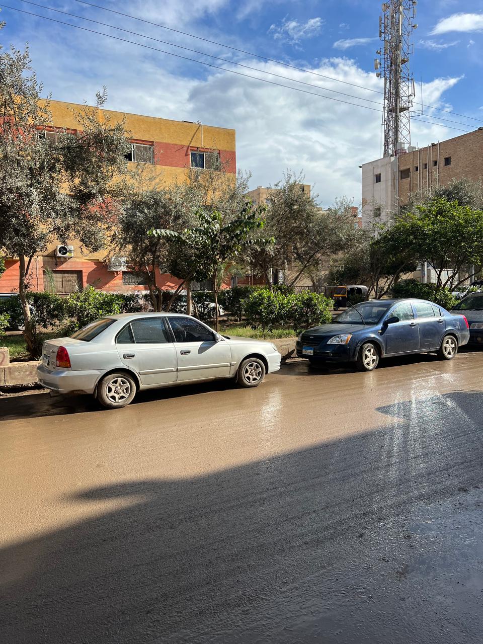 امطار خفيفة وتواجد اشعة الشمس امطار خفيفة وتواجد اشعة الشمس