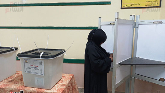 انتخابات-مجلس-النواب-في-أسوان-(3)