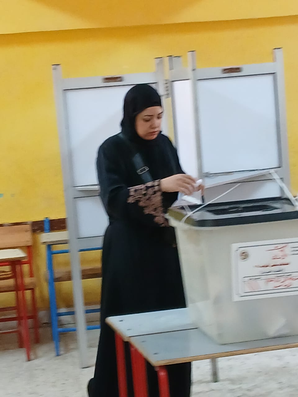 سيدة تدلي بصوتها سيدة تدلي بصوتها