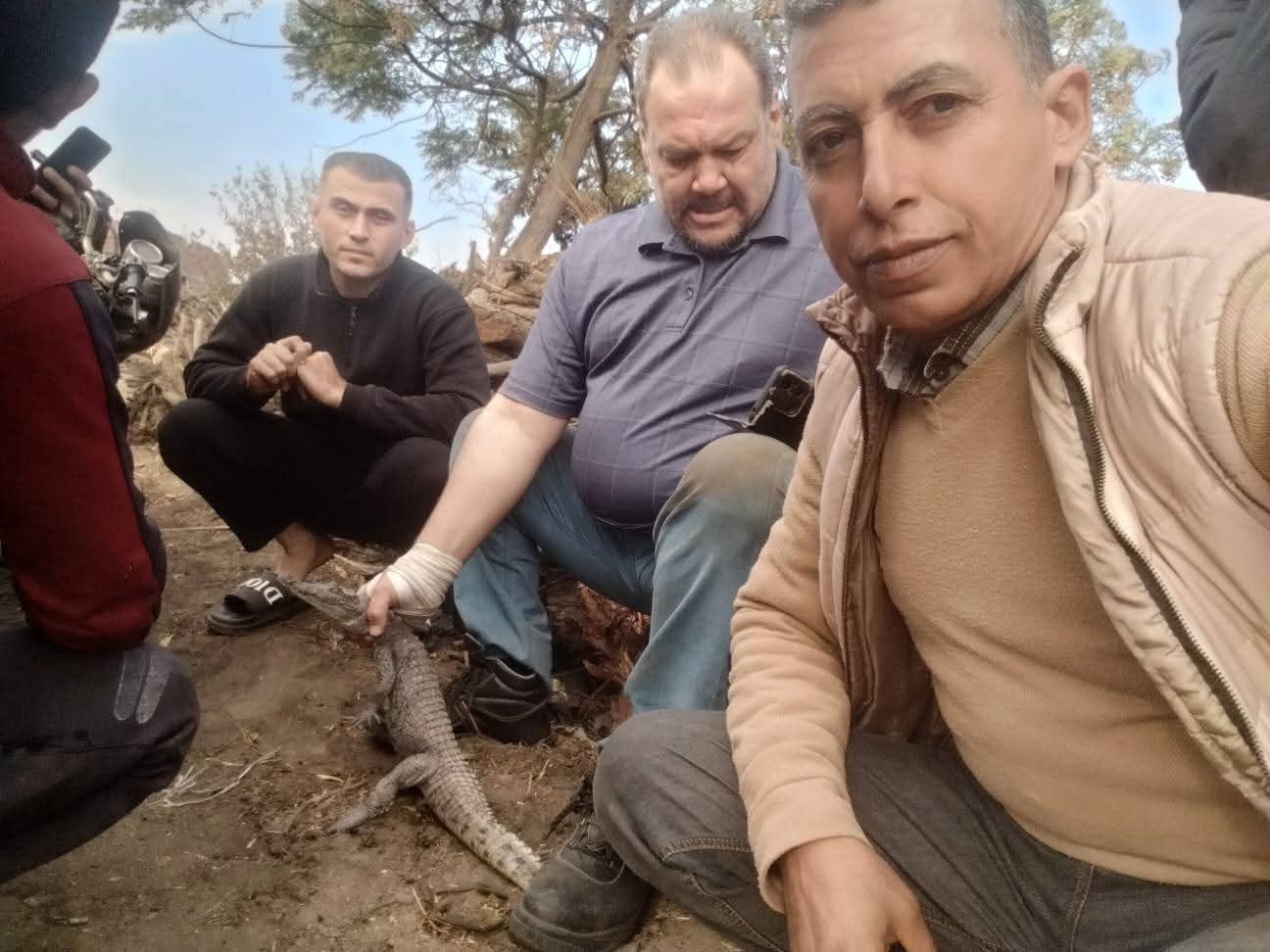 اصطياد تمساح قرية الزوامل (2)