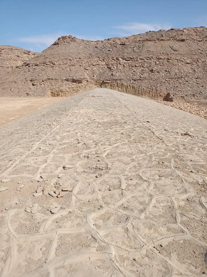 تعزيز القدرة على التعامل الفوري