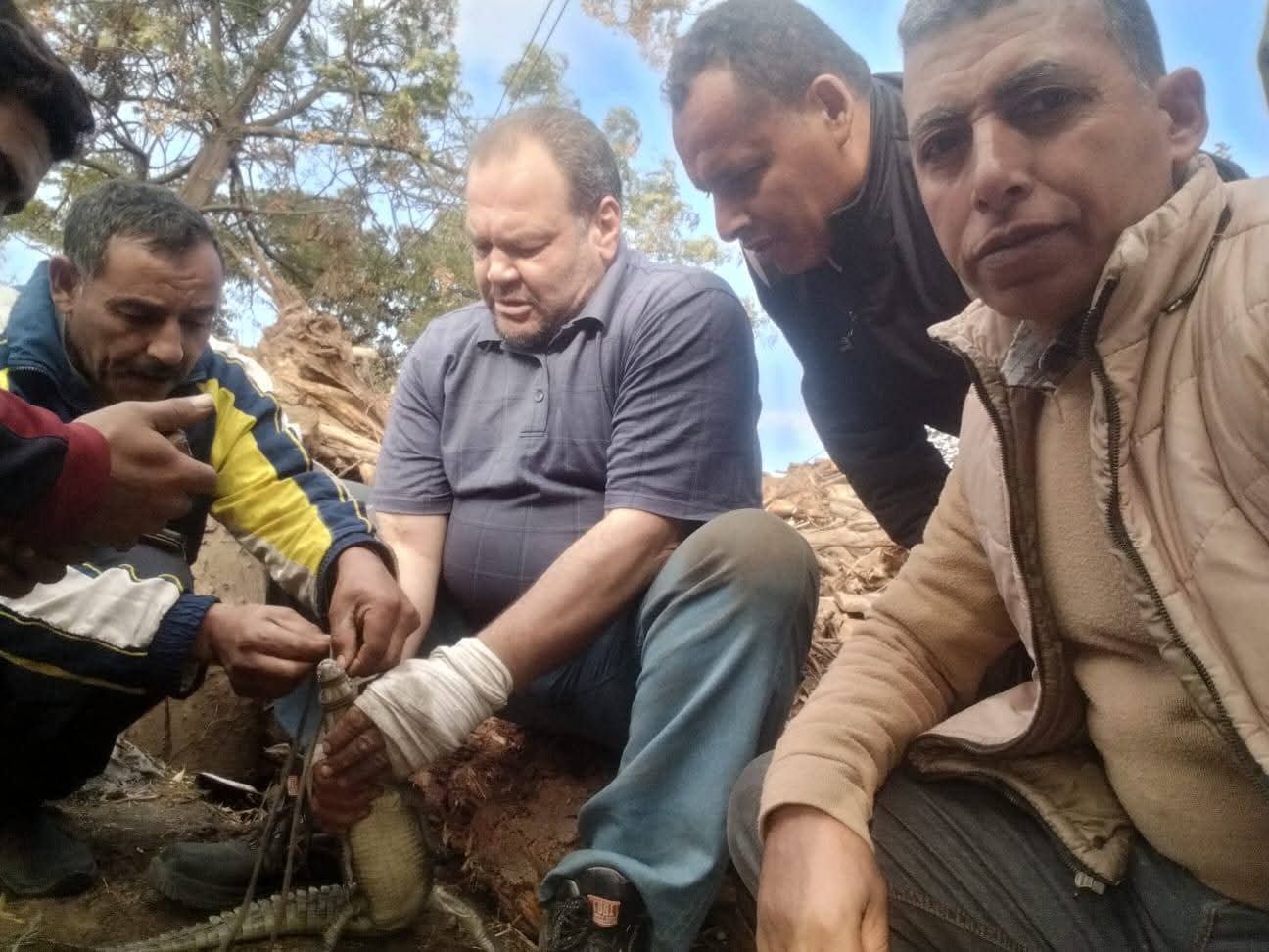 اصطياد تمساح قرية الزوامل (4)