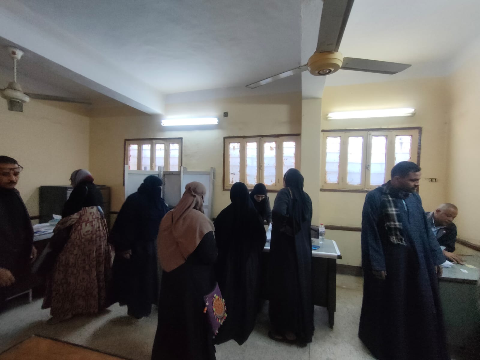 دعم مميز لكبار السن والسيدات في لجان الأقصر  (4)