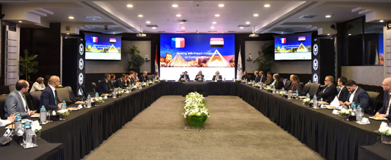 هيئة الاستثمار والجمارك والشركات الفرنسية (2)