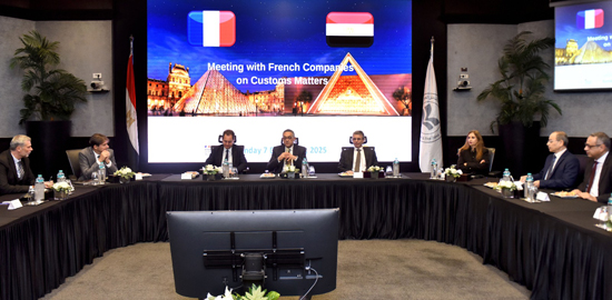 هيئة الاستثمار والجمارك والشركات الفرنسية (3)