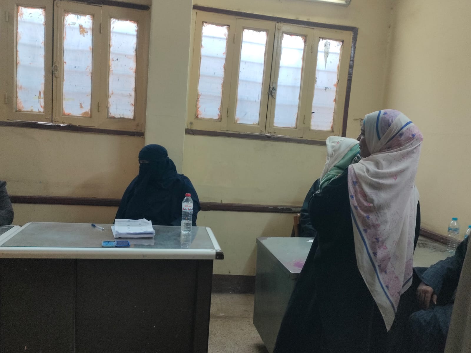 دعم مميز لكبار السن والسيدات في لجان الأقصر  (9)