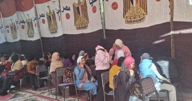 لجان انتخابات مجلس النواب بالمحافظات (9)