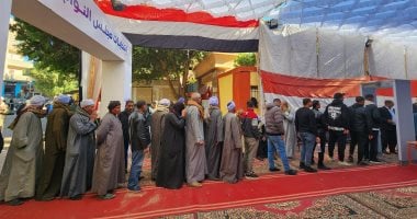 لجان انتخابات مجلس النواب بالمحافظات (7)