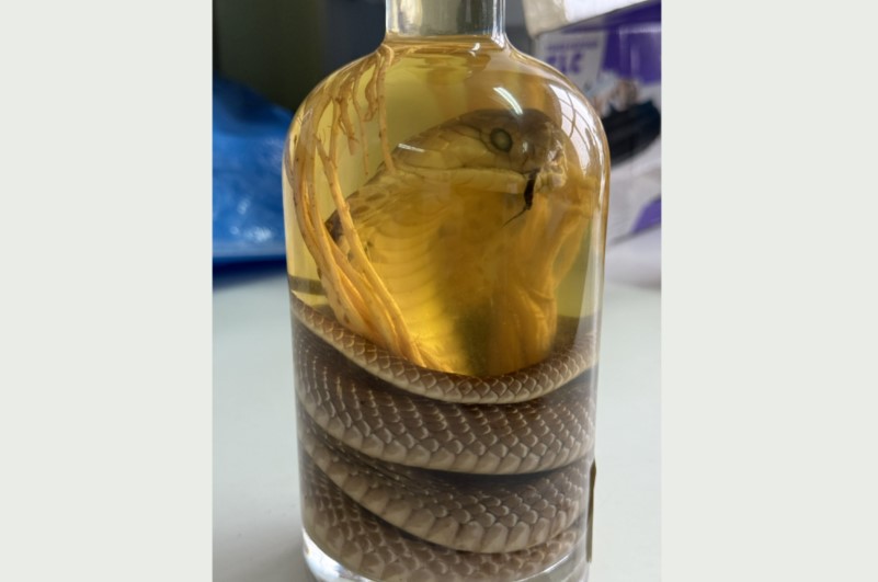 زجاجة نبيذ زجاجة نبيذ