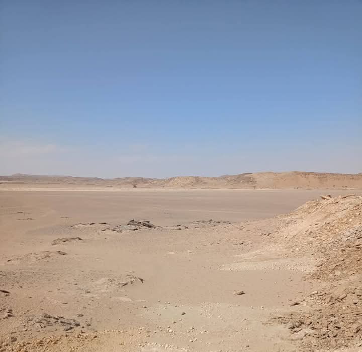 اجراءات احترازية بادفو