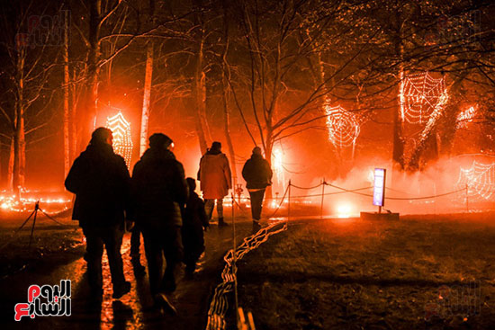 استمتاع زوار الحديقة النباتية بأذواء عيد الميلاد