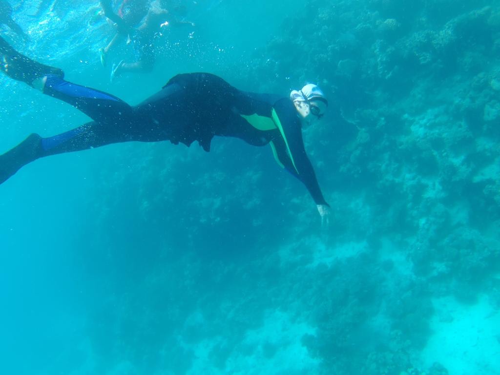 الغوص فى أعماق وادى الجمال الغوص فى أعماق وادى الجمال