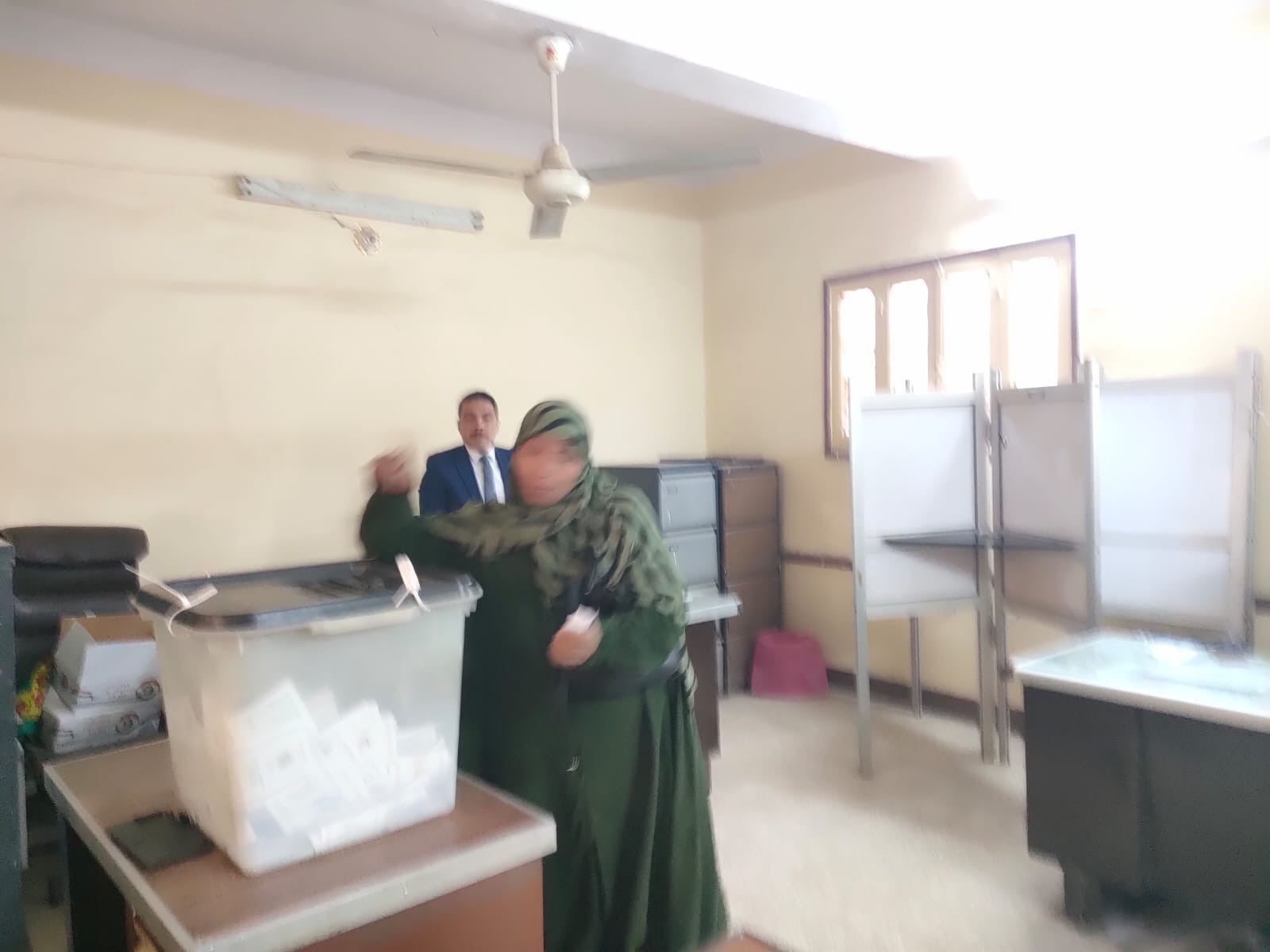 دعم مميز لكبار السن والسيدات في لجان الأقصر  (1)