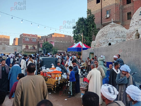 بجوار-مقام-الشيخ-عامر بجوار-مقام-الشيخ-عامر