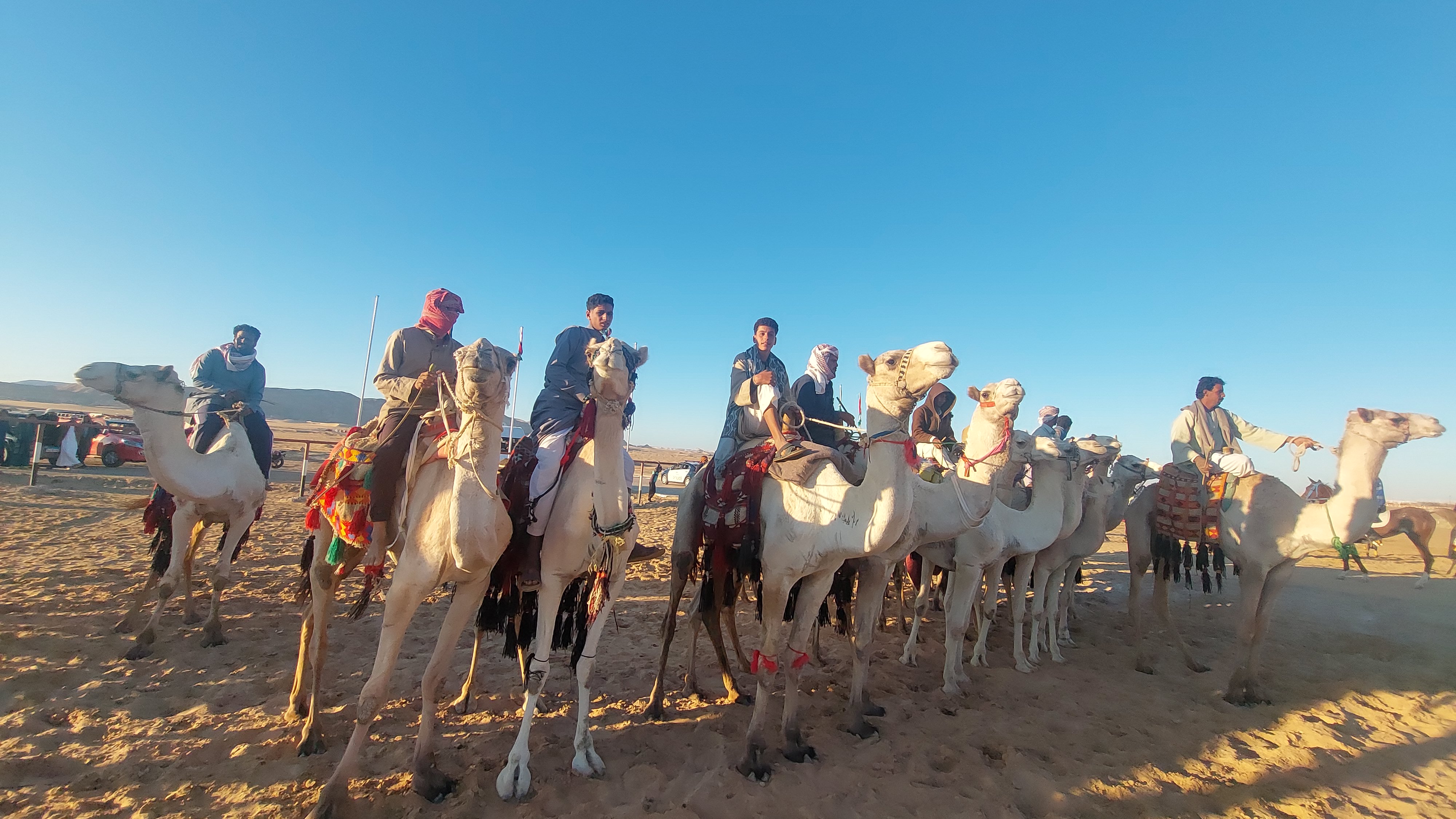 المهرجان الدولى للرياضات التراثية والفنون لليوم الثانى بالوادى الجديد المهرجان الدولى للرياضات التراثية والفنون لليوم الثانى بالوادى الجديد