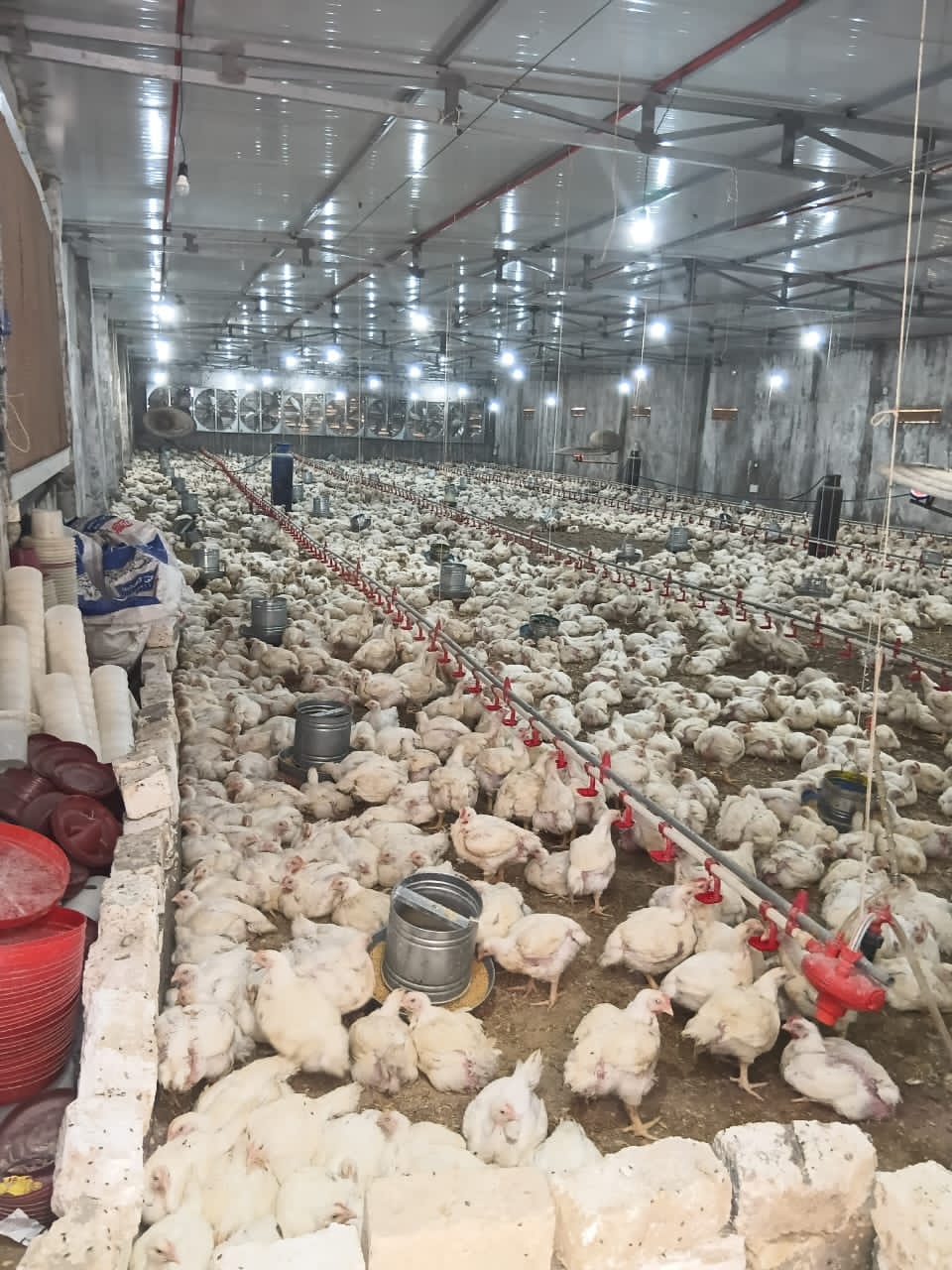 1000305450 1000305450