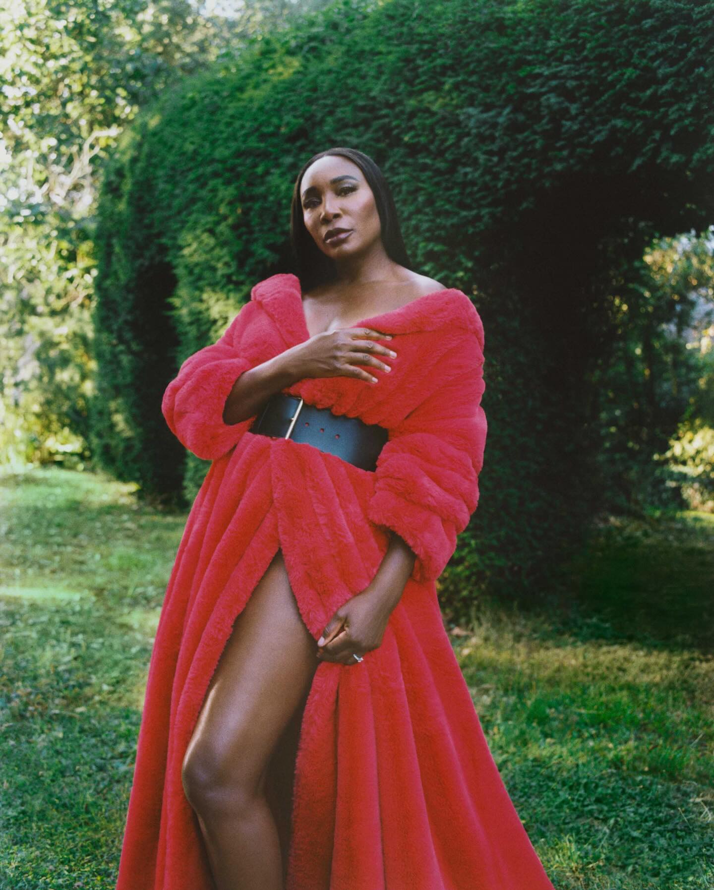 فينوس ويليامز فينوس ويليامز