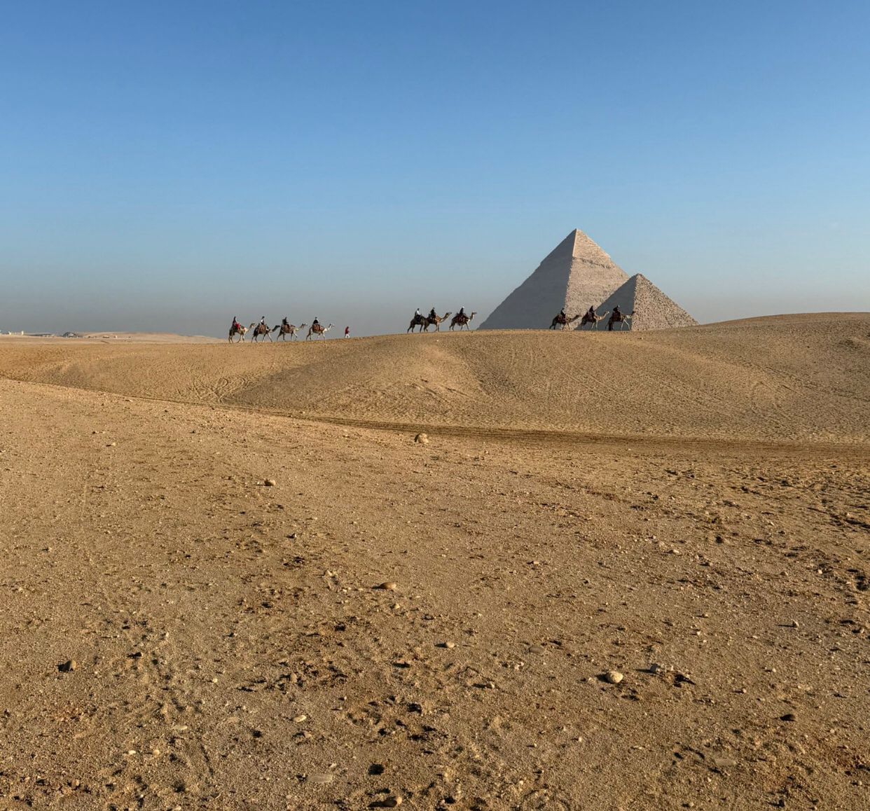 d7d714fa-71b6-4088-995c-ac91c940153a d7d714fa-71b6-4088-995c-ac91c940153a