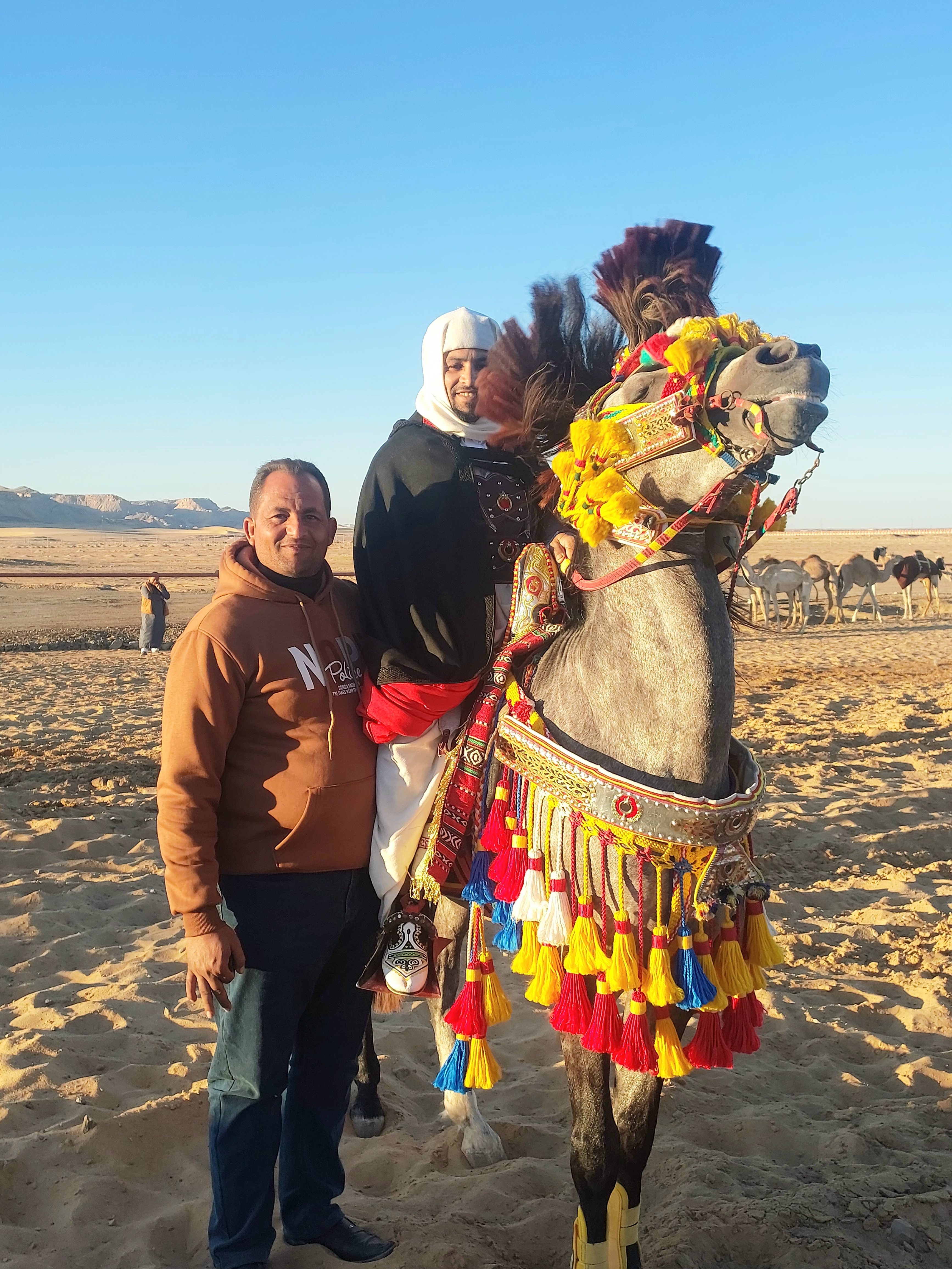 المهرجان الدولى للرياضات التراثية والفنون المهرجان الدولى للرياضات التراثية والفنون