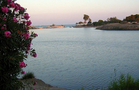 اكتشاف الامريكيتين