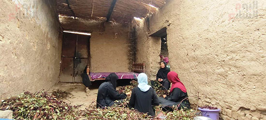 أعمال-تفصيص-الكركدية-فى-المنازل-جنوب-الأقصر أعمال-تفصيص-الكركدية-فى-المنازل-جنوب-الأقصر