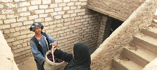 تسليم-الكركدية-للسيدات-لبدء-فرشه-فى-الهواء-الطلق تسليم-الكركدية-للسيدات-لبدء-فرشه-فى-الهواء-الطلق