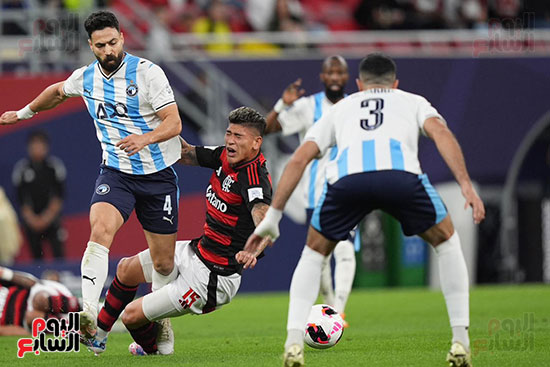 احمد سامي احمد سامي