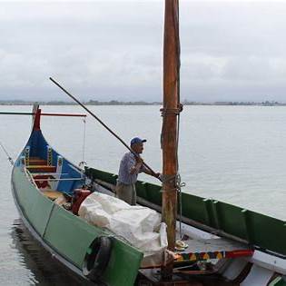 قارب موليسيرو.. فن النجارة البحرية