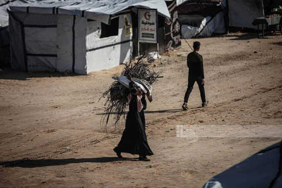 جمع القش لاشعال النيران جمع القش لاشعال النيران