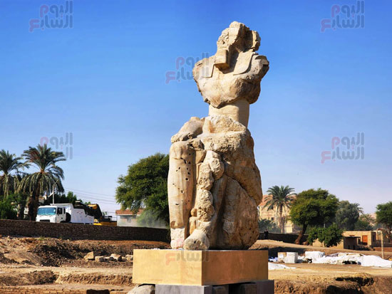 تنصيب-تماثيل-الملك-أمنحتب-الثالث-في-معبد-ملايين-السنين-بالبر-الغربى-(11)