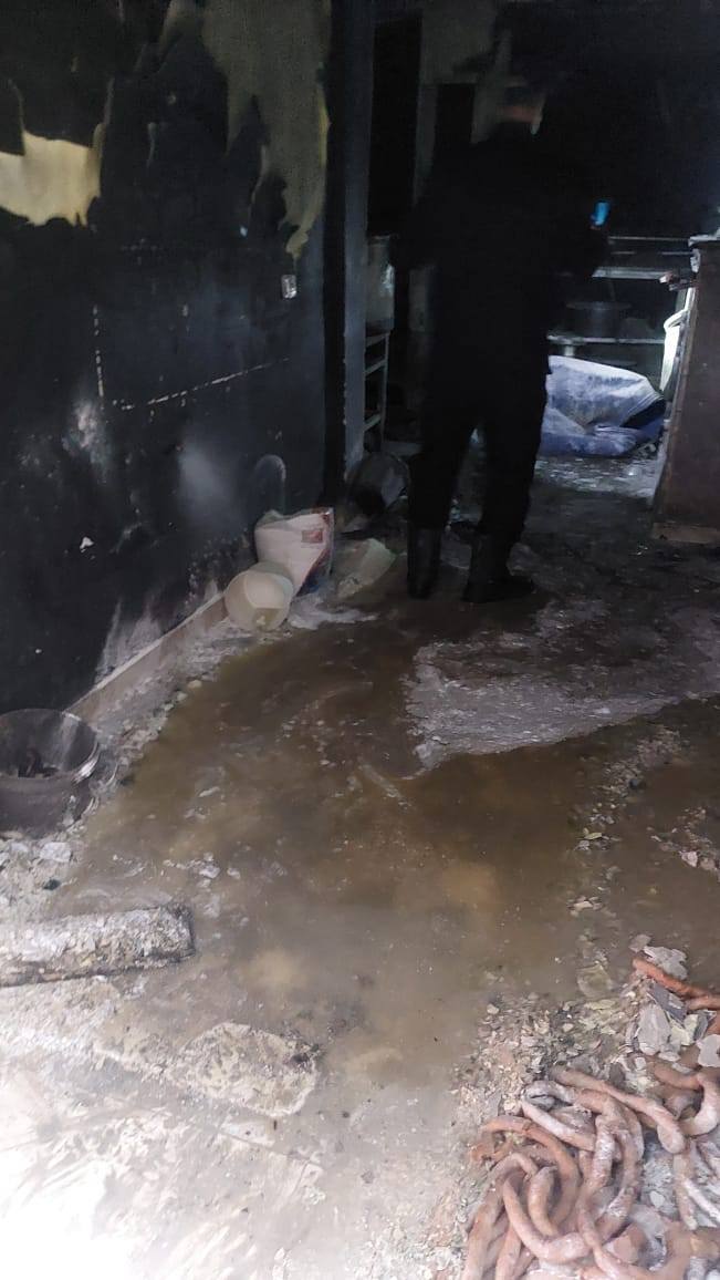 597360951_1291429016332350_5807694028743215893_n 597360951_1291429016332350_5807694028743215893_n