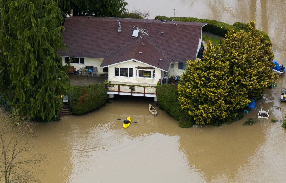  شمال غرب المحيط الهادئ (4)
