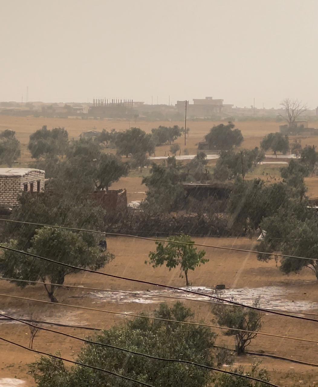 أمطار خفيفة على شمال سيناء مع توقعات بزيادتها مساءً