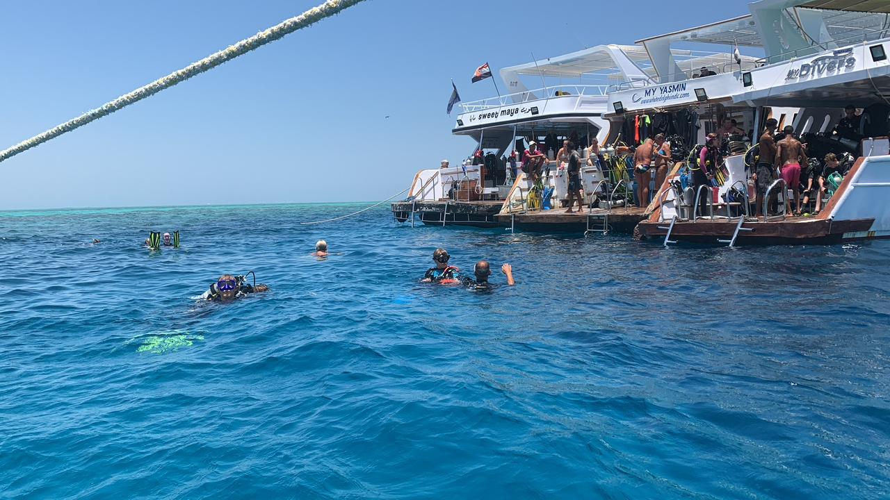 رحلات السنوركلنج بالغردقة 