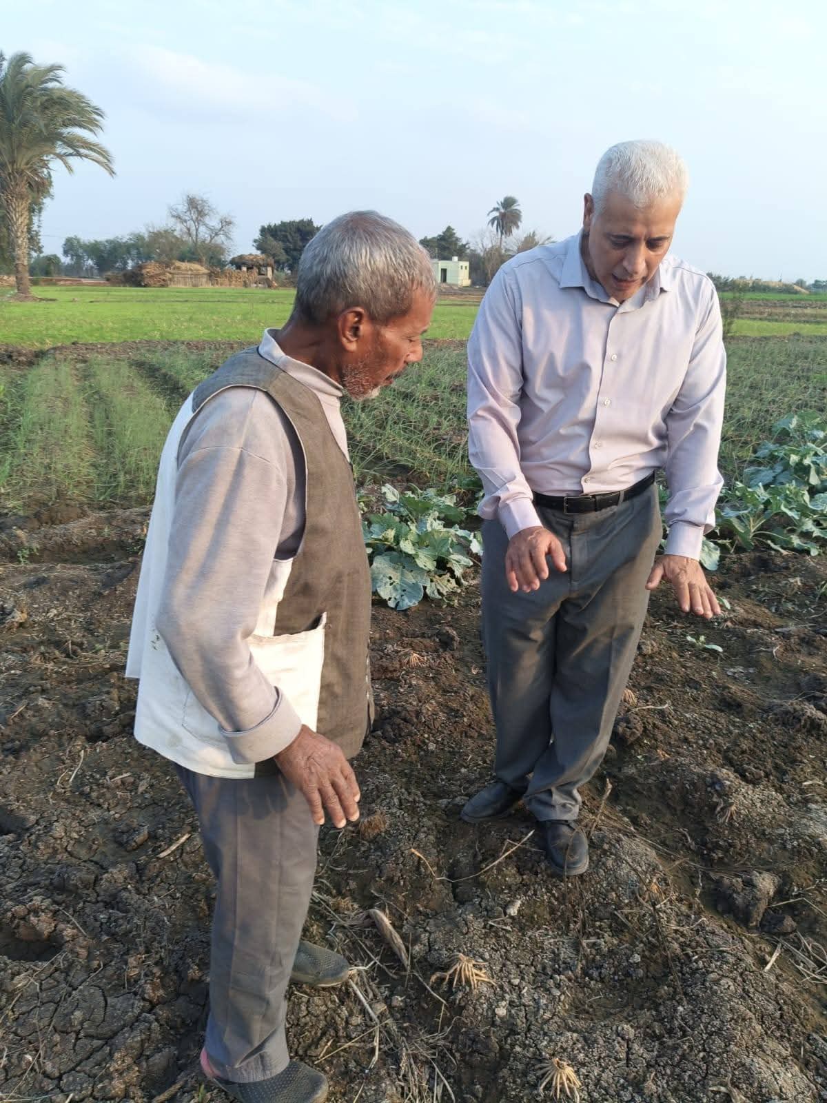 توعية المزارعين