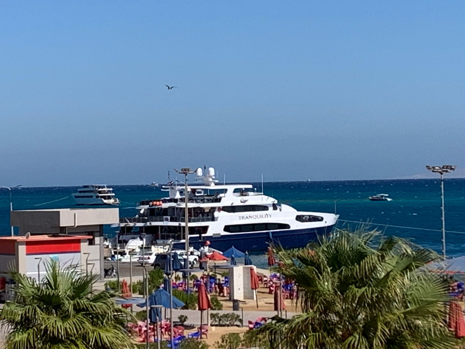 طقس دافئ على أغلب الإنشاءات بالغردقة 