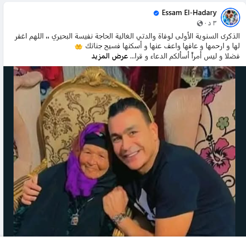 عصام الحضري