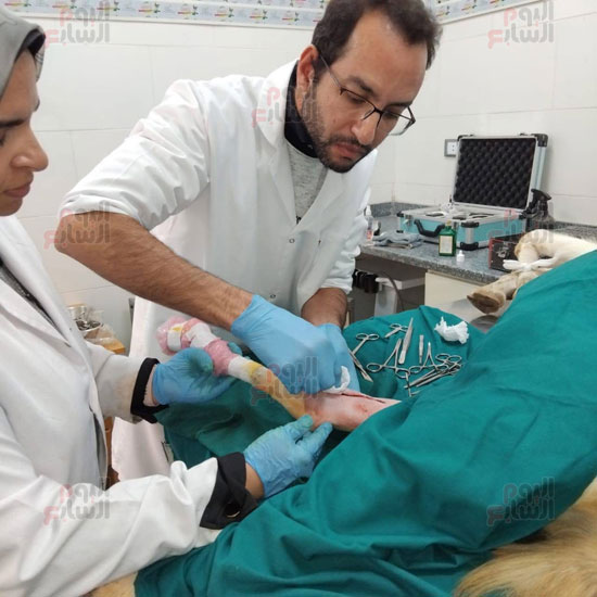 جانب-من-العملية جانب-من-العملية