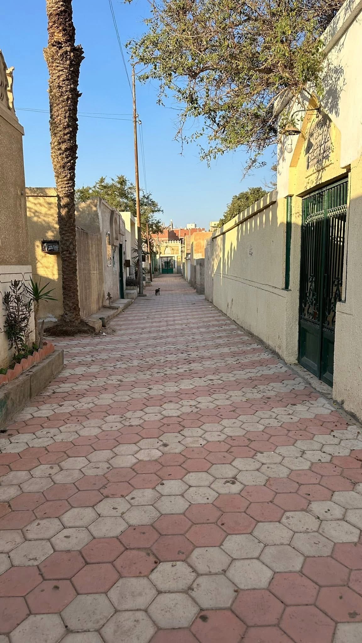 رصف شوارع المقابر بالكامل بالانترلوك رصف شوارع المقابر بالكامل بالانترلوك