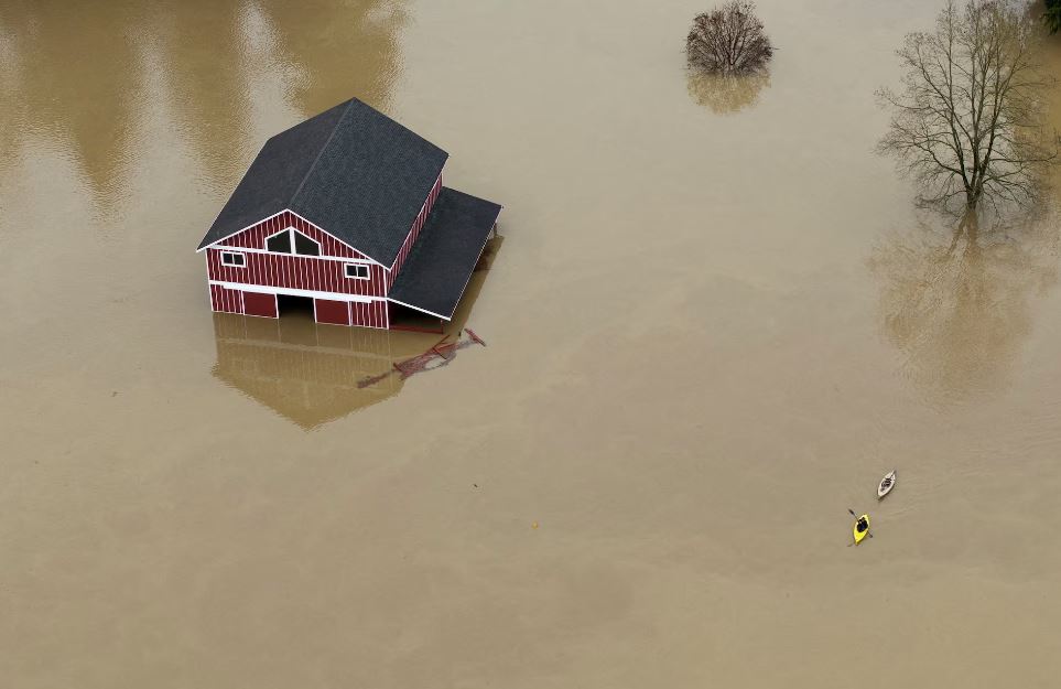  شمال غرب المحيط الهادئ (1)