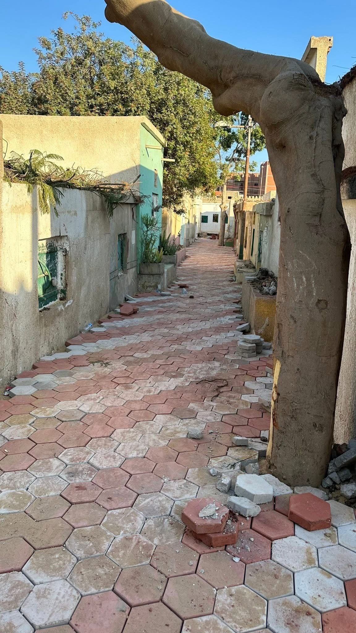 رصف شواع المقابر بالانترلوك رصف شواع المقابر بالانترلوك