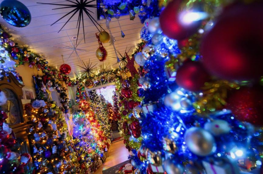 زوجان ألمانيان يحطمان الرقم القياسي العالمي لعدد أشجار عيد الميلاد في المنزل (9)