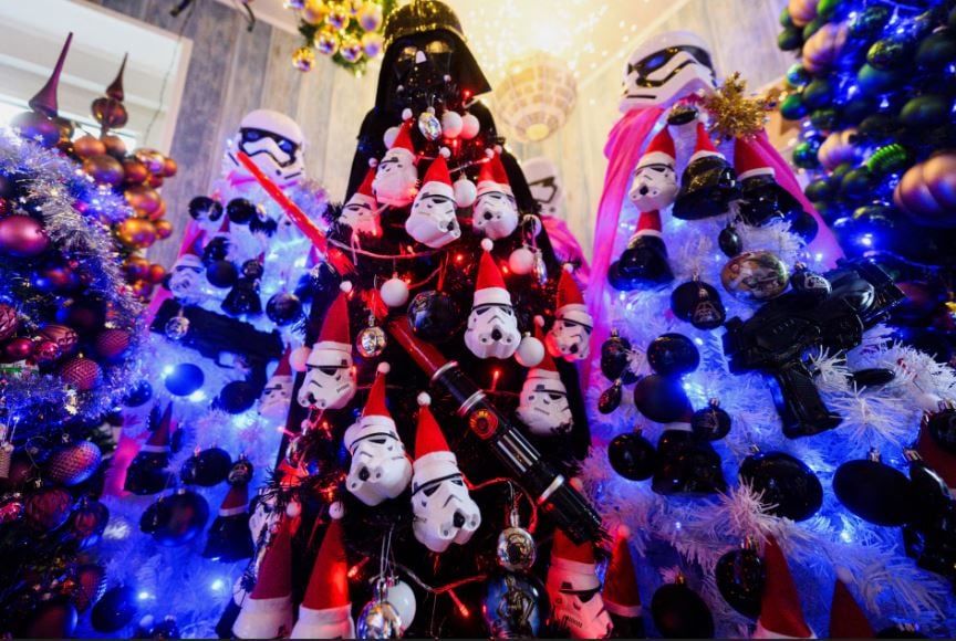 زوجان ألمانيان يحطمان الرقم القياسي العالمي لعدد أشجار عيد الميلاد في المنزل (4)