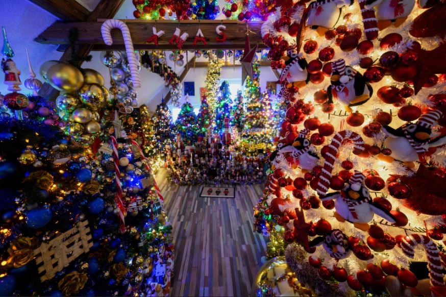 زوجان ألمانيان يحطمان الرقم القياسي العالمي لعدد أشجار عيد الميلاد في المنزل (15)