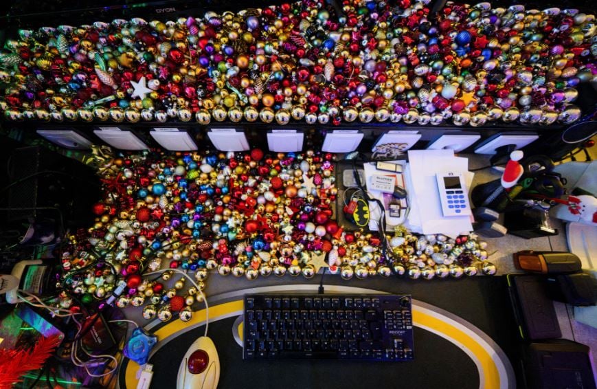 زوجان ألمانيان يحطمان الرقم القياسي العالمي لعدد أشجار عيد الميلاد في المنزل (13)